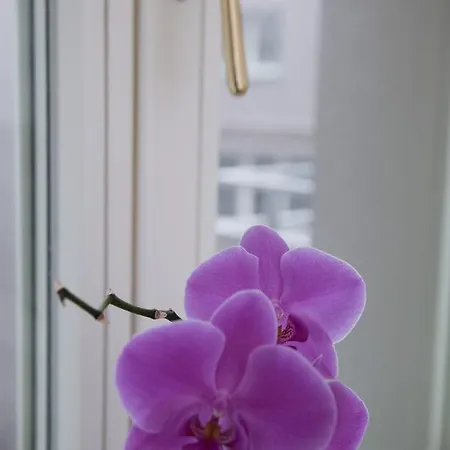 Luxury Spalena 아파트 *