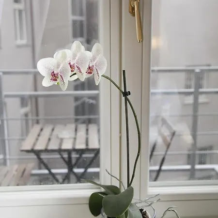 Luxury Spalena Apartment Prague