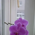 Luxury Spalena Lägenhet *