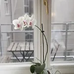 Luxury Spalena Lägenhet Prag